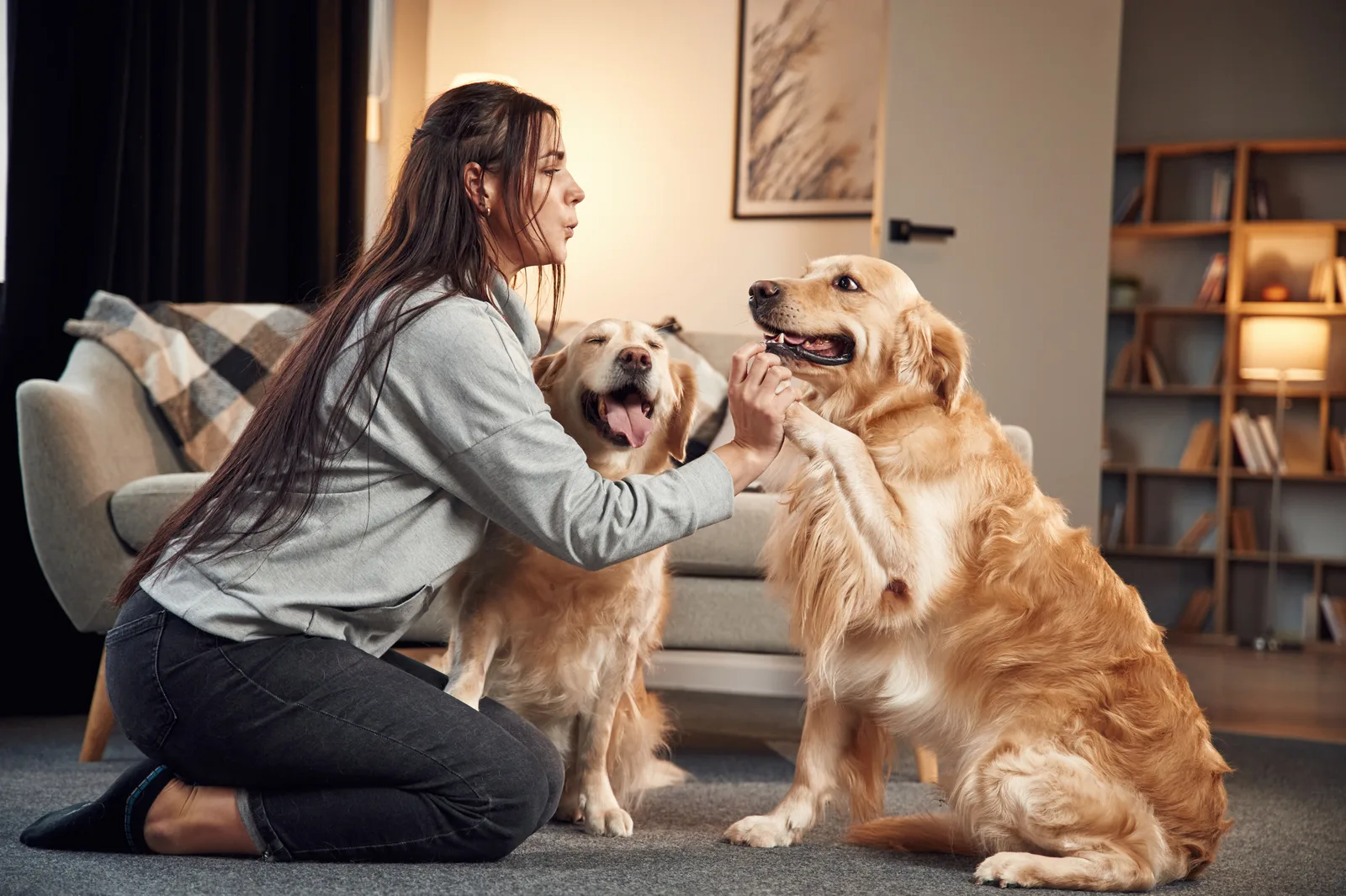 Kobieta w domu z golden retrieverami